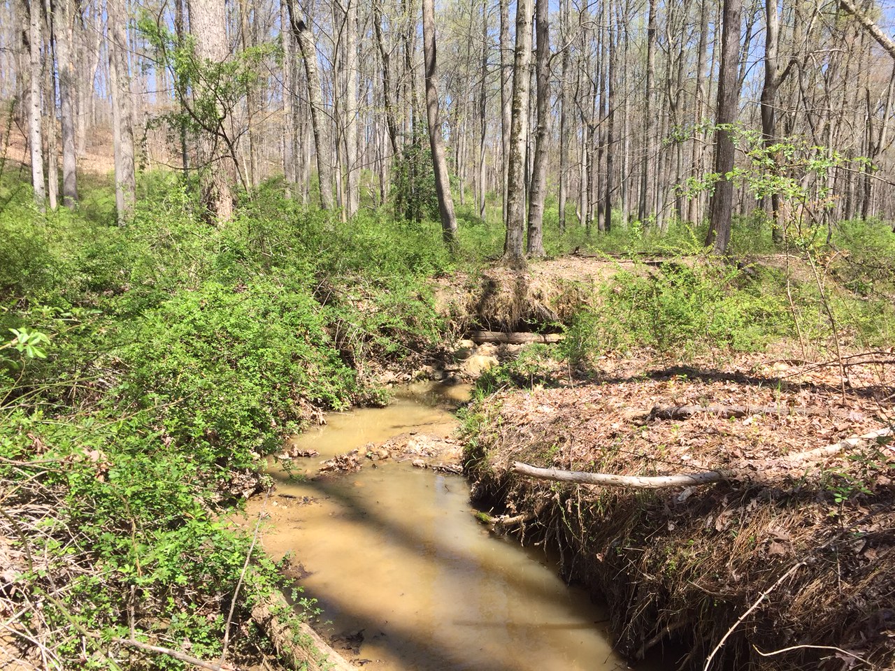 Field photo showing stream conditions at site LIGU-103-R-2016-midpoint downstream